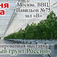 С 14 по16 июня 2017 г. в Москве состоится XIV специализированная выставка «Защищенный грунт России». Мероприятие пройдет на территории ВДНХ, павильон № 75, зал «В».